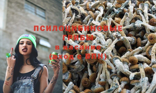 марки nbome Дмитров