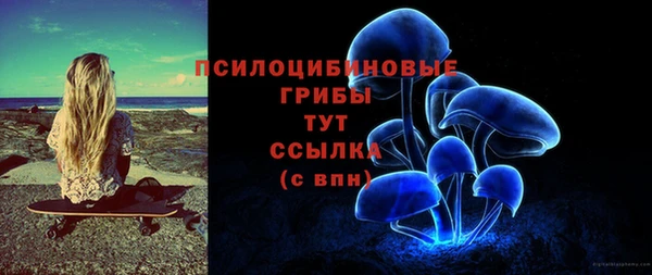 стафф Алексеевка