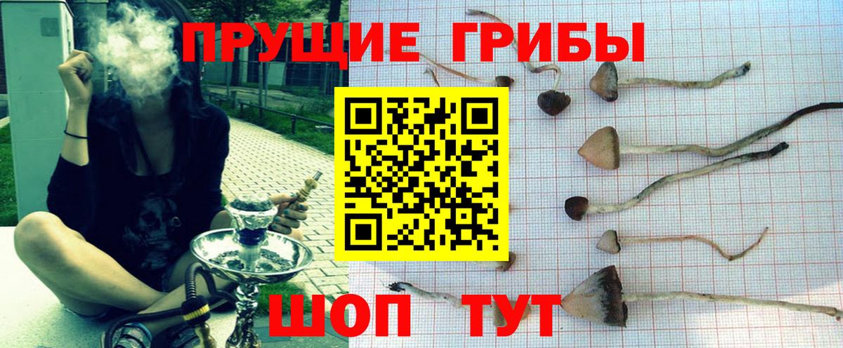Тобольск  Псилоцибиновые грибы Psilocybine cubensis  Вход с VPN 